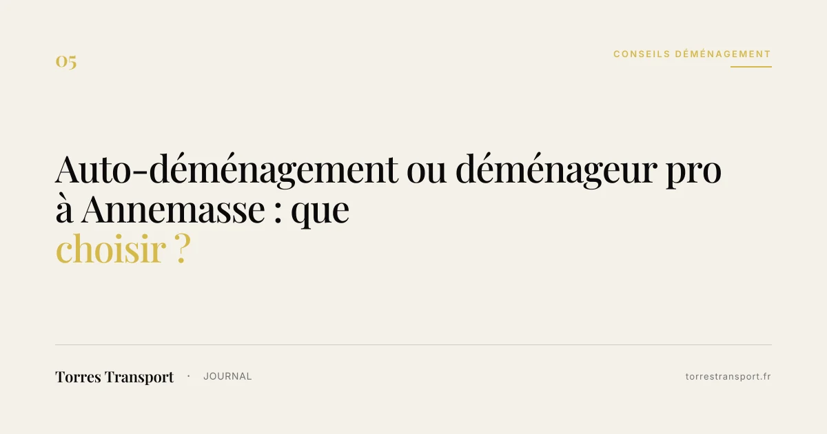 Auto-déménagement ou déménageur pro à Annemasse : que choisir ?